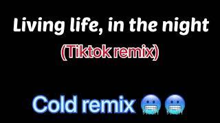 Living life, in the night (tiktok remix & version) 