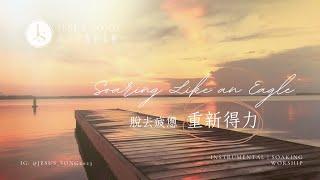 脫去疲憊重新得力Soar Like an Eagle｜專注讀經禱告音樂｜等候神音樂Soaking Music｜靈修音樂｜沉浸式音樂｜舒壓睡眠音樂｜工作音樂｜소킹뮤직