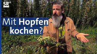 Hopfen aus der Hallertau - eine Zutat nicht nur für Bier | Genuss mit Zukunft