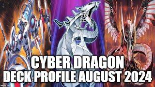 CYBER DRAGON DECK PROFILE (AUGUST 2024) YUGIOH!