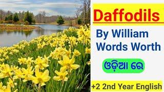 Daffodils | In Odia | +2 2nd Year English | Invitation To English 1 | CHSE Odisha | Science | Arts |