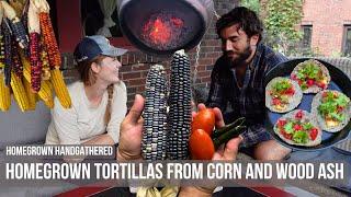 Harvesting Heirloom Corn & Making Tortillas (Wood-ash Nixtamalization)