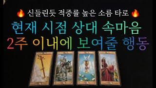 (타로)  현 시점 상대방 속마음 + 2주 이내에 보여줄 행동  신들린듯 적중률 놀라운 타로 