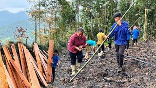 Transporting wooden planks,Upland rice cultivationLive freely with nature.| Phuc and Sua