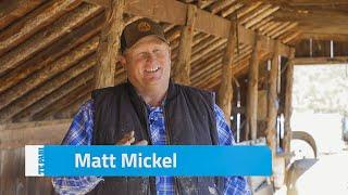 The Racewell HD4 Sheep Handler in Utah, USA | Matt Mickel