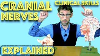 Cranial Nerve Examination Explained - Clinical Skills Deep Dive - Medical School Revision - Dr Gill