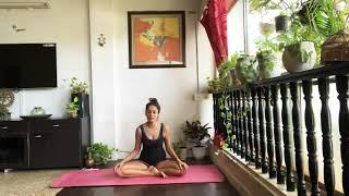 32. Beginner Yoga Vinyasa flow | Learn Basic Vinyasa - asana practice | VIDYA MALAVADE