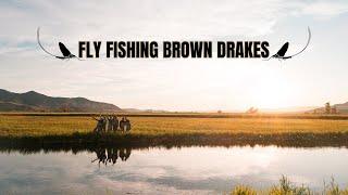 BROWN DRAKES -  A World Famous Hatch on Silver Creek in Idaho (Film)