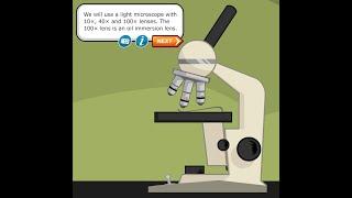 Using the Microscope