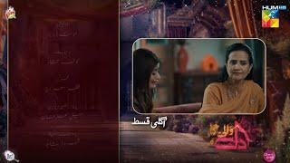 Dil Wali Gali Mein - Ep 09 Teaser - 9th March 2025 - HUM TV - Fizmo Stories Review