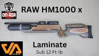 RAW 1000x Laminate