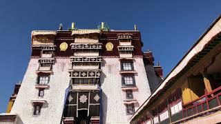 Introduction to Potala Palace #travel #palace #tourism #china #internationaltravel