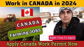  Work in CANADA in 2024 | Apply CANADA FARMING JOBS From India-Pakistan-UAE | Canada Work Permit