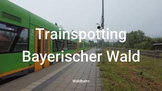 Trainspotting im Bayerischer Wald Rund um die Waldbahn