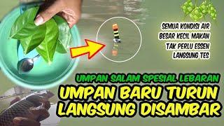 BARU LEMPAR LANGSUNG DISAMBAR | SPESIAL LEBARAN UMPAN PUTIH DAUN SALAM PALING JITU MANCING IKAN MAS