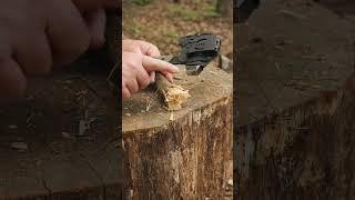 How I Made A Cleaning Brush From Wood  #survival #bushcraft