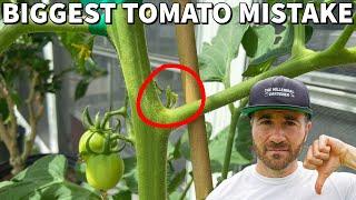 You're Pruning Tomatoes WRONG! This Mistake Will DESTROY Your Harvest!