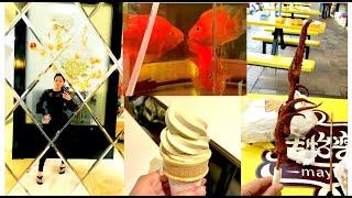 Trying GREEN TEA ICE CREAM, Fried Crispy SQUID, and ROMANTIC FISH LOVE STORY! -China Vlog, Day 15 