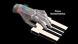 4. The Chopin Method: the fingers