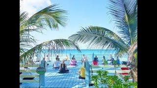 Yoga. Ocean. Repeat. @ Sivananda Ashram Yoga Retreat Bahamas