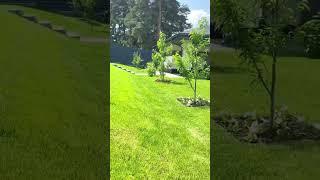 Стрижка газона K-GARDEN Воронеж