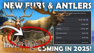 New ANTLER & FUR VARIATIONS Coming in 2025!!! - Call of the Wild