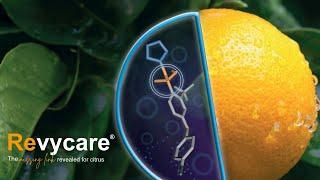 BASF Agricultural Solutions South Africa Launches Revycare®- The missing link in citrus