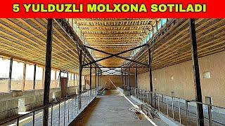 MOLXONA SOTILADI 99-696-22-00 NAMANGAN VIL MINGBULOQ TUMANIDA JOYLASHGAN