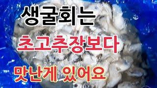 생굴회 맛나게 드시려면 초고추장과 먹지 마세요