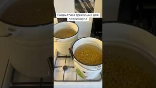 Бюджетная прикормка на карпа  #рыбалканакарпа #рыбалка