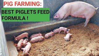 HOW To Make YOUR OWN PIGLETS FEED Formula - Best Quality Feed for LESS!