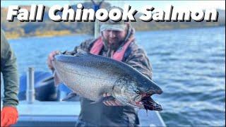 Fall Chinook Salmon Fishing Compilation (3 FULL VIDEOS)