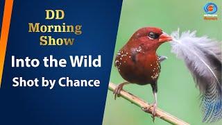 DD Morning Show | Into the Wild | Shot by Chance | 27th November 2024