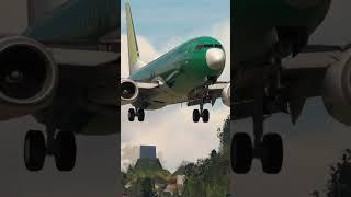 Boeing Field Arrival PMDG 738NG Factory Rollout Livery