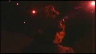 All Along - Peacable Jones