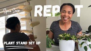 SPACE SAVING (Renter friendly) Plant Stand Set Up & Repotting Hoya, Jose Buono, and mini tour