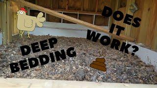 Chicken Coop Deep Bedding: 1 Year Review