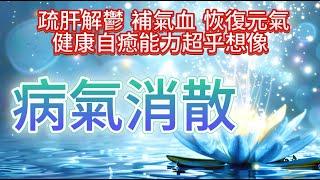 消除 業力  【藍蓮花的祝福：病氣消散！淨化身體磁場】健康的自愈能力超乎想像！用於恢復元氣、改善情緒、健康損傷、大病修復、疲勞、亞健康、損傷逆轉、提升免疫力、補氣血、疏肝解鬱。（人類、哺乳動物都可用）