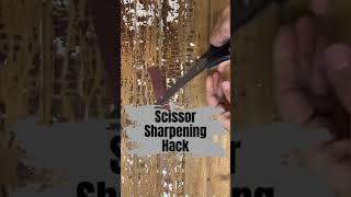 ️ SCISSOR SHARPENING HACK: A Must-Try DIY Tip!  #DIYCrafts #hack