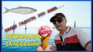 Впервые пробую мороженое со вкусом селедки | Древний город Клещин