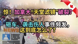 惊！加拿大“天堂滤镜”破裂？近期砸车、袭击伤人事件频发，这到底怎么了？｜加拿大｜新移民｜#S哥闖北美