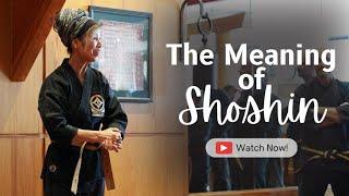 An-Shu Rumiko Hayes discusses the meaning behind "Shoshin"