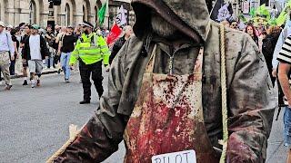 CoH Decided Remove the Horses to the Horse Guards Stables due to Climate Change Protesters in London