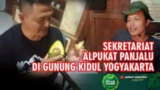 sekertariat Alpukat Panjalu di Gunung KIdul Yogyakarta