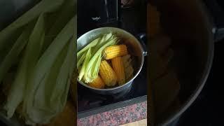 Вареная кукуруза в Германии! #youtubeshorts #shorts #youtube #food #nature #grill