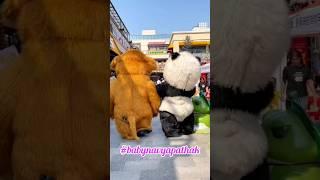 cute panda video #panda #shorts