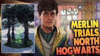 Hogwarts Legacy - Merlin Trials in NORTH HOGWARTS (Merlin's Beard Trophy)