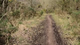 Paisley. Gleniffer  Braes. Quary Downhill