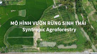 Mô Hình Vườn Rừng Sinh Thái - Syntropic Agroforestry