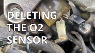 Motorcycle O2 Sensor Delete | Curing the flat spot